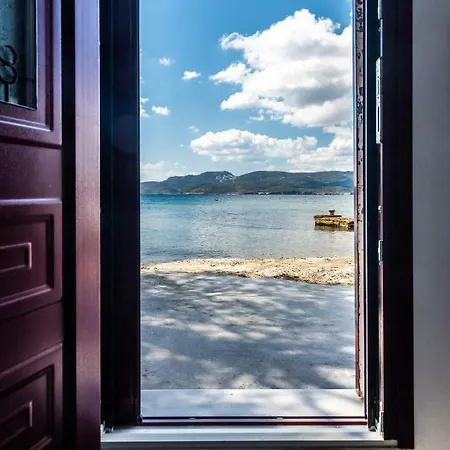 Skinopi Fisherman's Dream *